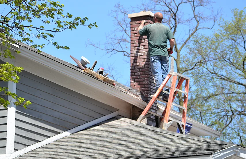 Chimney & Fireplace Inspections Services in Palm River-Clair Mel, FL